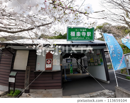 Gokurakuji Station and cherry blossoms 113659104