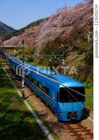 [賞櫻勝地]山北站附近運行的藍色浪漫車廂 113659234