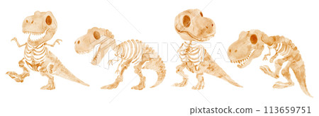 Tyrannosaurus Rex dinosaur skeleton . Watercolor paint cartoon characters . Set 1 of 4 . Vector . 113659751