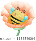 Happy bee sleeping 113659804