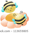 Happy bee and friend 113659805