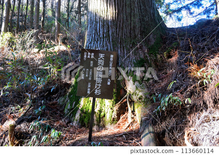 [Mountain sign] Tengu's Sitting Cedar, Mt. Mitake, Tokyo (2013) 113660114