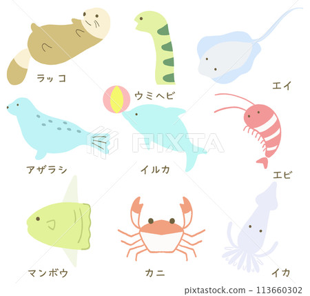 海洋生物插圖集 113660302