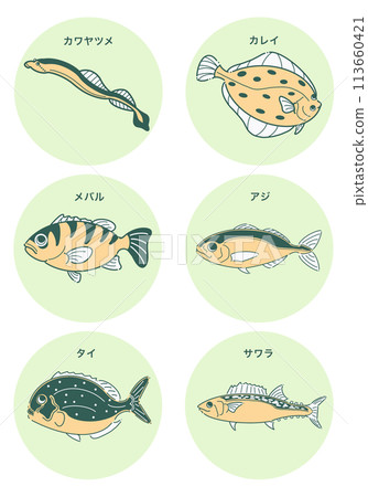 魚插圖集 魚插圖集 113660421