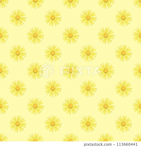 seamless pattern with chamomile flowers seamless pattern with chamomile flowers 113660441