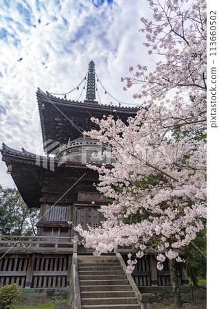 [No.1 Fudasho]櫻花盛開的靈善寺多寶塔[四國八十八寺] 113660502