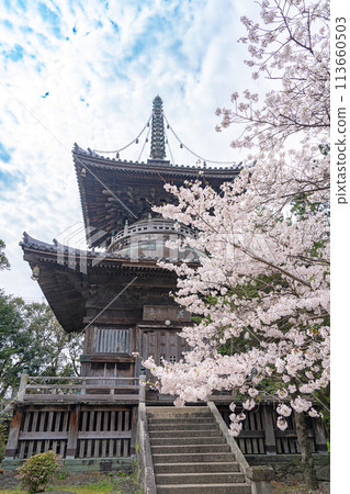 [No.1 Fudasho]櫻花盛開的靈善寺多寶塔[四國八十八寺] 113660503