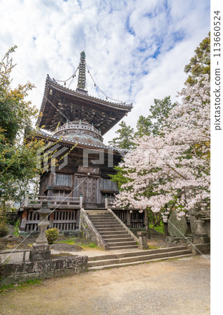 [No.1 Fudasho]櫻花盛開的靈善寺多寶塔[四國八十八寺] 113660524