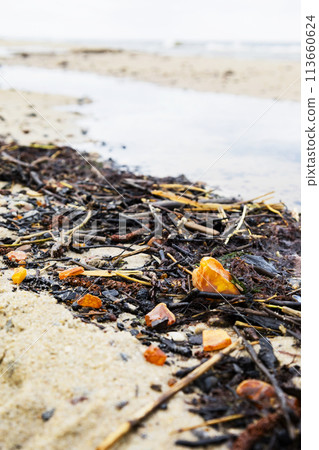 Beautiful pieces of amber among seaweed on a sandy beach 113660624