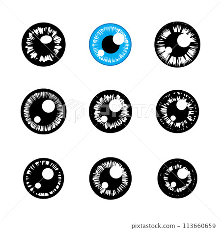 Eye Lens Iris and Pupil Icon, Human Eye Pictogram, Eyeball Sign, Iris Symbol, Optic Pupil 113660659