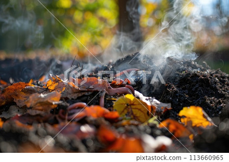 Earthworms Emerging from Fertile Soil with Fresh Leaves and Steam in Garden 113660965