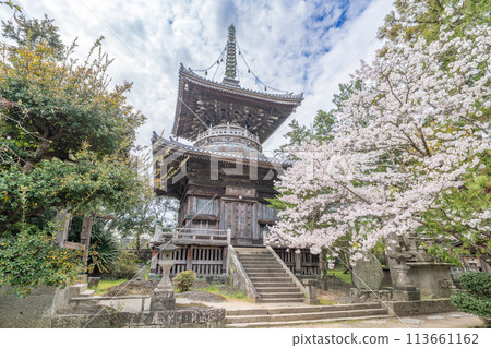 [No. 1 Fudasho] Tahoto Pagoda of Reizenji Temple with Cherry Blossoms [Shikoku Eighty-eight Temples] 113661162