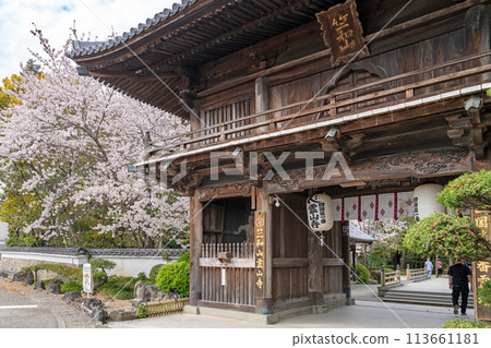[No. 1 Fudasho] Niomon gate of the sacred mountain temple in which cherry blossoms bloom [Shikoku 88 places] 113661181