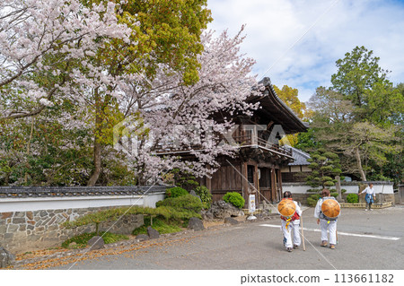 [No.1 Fudasho]櫻花盛開的神山寺廟的Niomon門[四國88處] 113661182