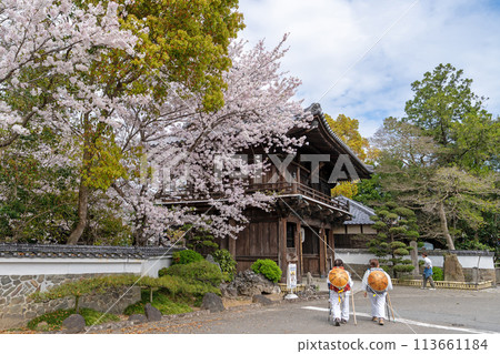 [No. 1 Fudasho] Niomon gate of the sacred mountain temple in which cherry blossoms bloom [Shikoku 88 places] 113661184