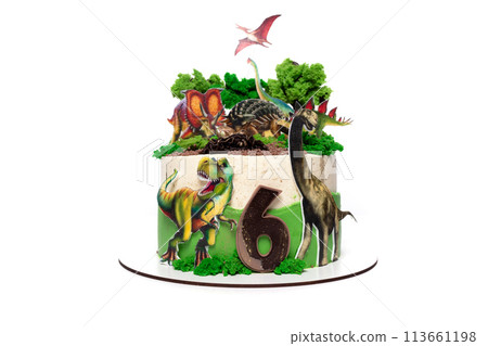 Dinosaur and Plant Decorated Birthday Cake 113661198