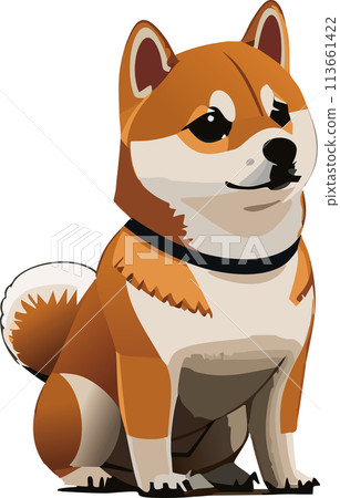 Shiba Inu 113661422
