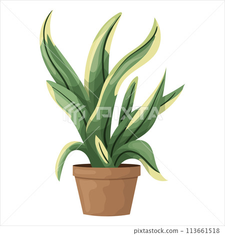 Vector illustration of a potted houseplant with leaves 113661518