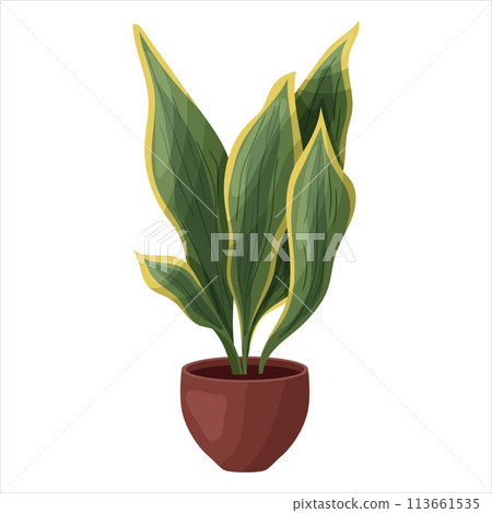 Vector illustration of a potted houseplant with leaves Vector illustration of a potted houseplant with leaves 113661535
