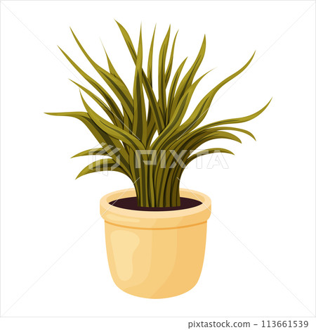 Vector illustration of a potted houseplant with leaves Vector illustration of a potted houseplant with leaves 113661539