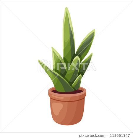 Vector illustration of a potted houseplant with leaves 113661547