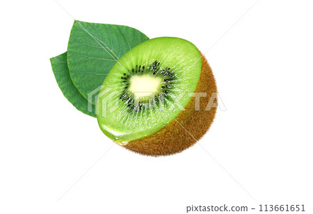 Kiwi illustration realistic white background 113661651