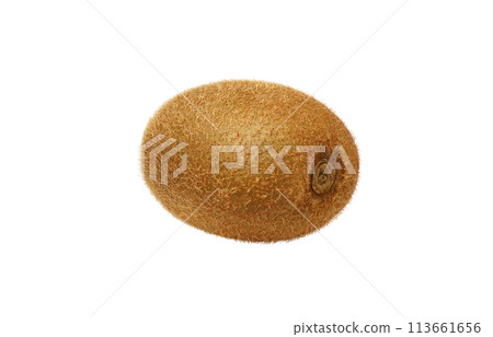 Kiwi illustration realistic white background 113661656