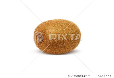 Kiwi illustration realistic white background Kiwi illustration realistic white background 113661663