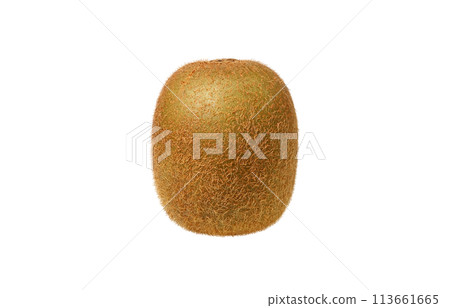 Kiwi illustration realistic white background 113661665