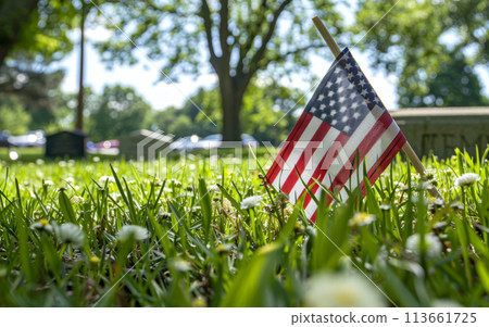 Close-up view of an American flag planted on the ground, surrounded by vibrant green grass in a tranquil cemetery setting. 113661725