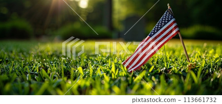 Fresh morning dew on grass with a prominently displayed American flag symbolizing honor and patriotism. 113661732