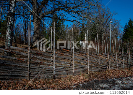 Wooden fence, assembled from flexible branches in sunset 113662014