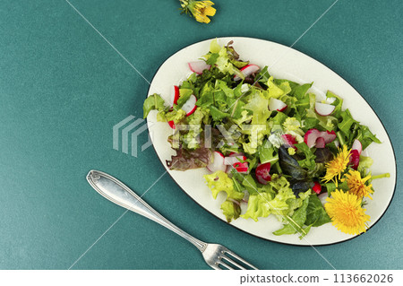Fresh salad with dandelions. 113662026