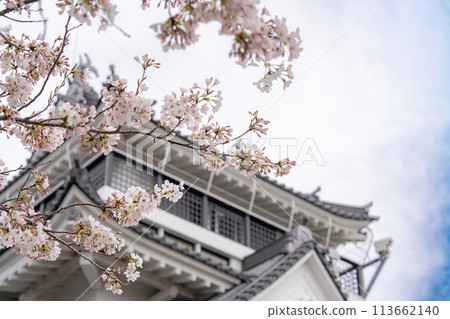 Spring at Myokenzan Park, Toride Naruto 113662140