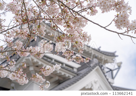 春天的妙見山公園 說到取手 春天的妙見山公園 說到取手 113662141