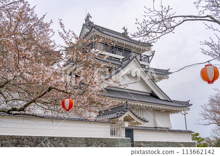 春天的妙見山公園 說到取手 113662142
