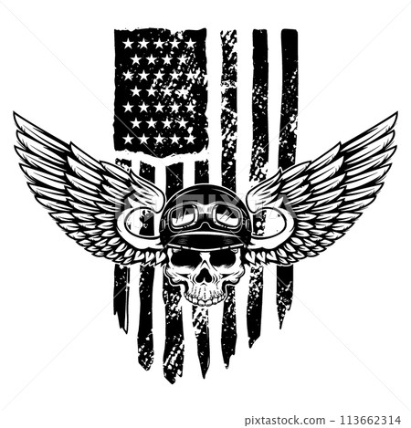 Skull in winged helmet on american flag background. Design element for logo, emblem, sign, poster, t shirt. Vector illustration 113662314