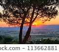 Serene sunset behind silhouetted tree 113662881