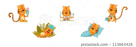 Funny Tiger Predator Jungle Animal with Striped Coat Engaged in Different Activity Vector Set Funny Tiger Predator Jungle Animal with Striped Coat Engaged in Different Activity Vector Set 113663426