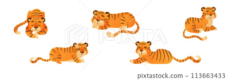 Funny Tiger Predator Jungle Animal with Striped Coat Vector Set 113663433