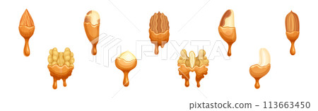 Nut Edible Seed with Dripping Chocolate or Caramel Melting Liquid Vector Set Nut Edible Seed with Dripping Chocolate or Caramel Melting Liquid Vector Set 113663450