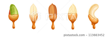 Nut Edible Seed with Dripping Chocolate or Caramel Melting Liquid Vector Set Nut Edible Seed with Dripping Chocolate or Caramel Melting Liquid Vector Set 113663452