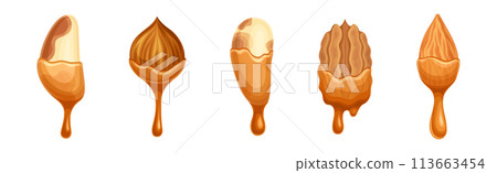 Nut Edible Seed with Dripping Chocolate or Caramel Melting Liquid Vector Set Nut Edible Seed with Dripping Chocolate or Caramel Melting Liquid Vector Set 113663454