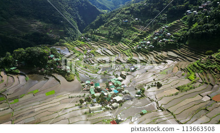 Batad Rice Terraces in Philippines 113663508