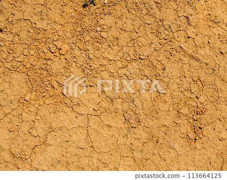 Dry desert cracked ground background 113664125