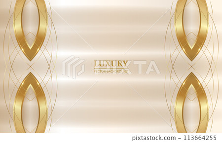 Abstract luxury background with golden lines and shapes. 113664255