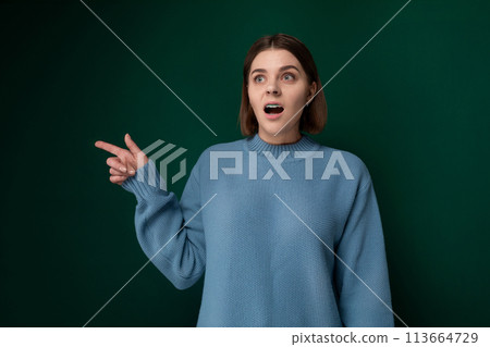 Woman With a Surprised Expression 113664729