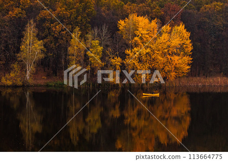 Man in yellow boat on the river in golden autumn, beautiful nature with colorful yellow trees and reflections on the water Man in yellow boat on the river in golden autumn, beautiful nature with colorful yellow trees and reflections on the water 113664775
