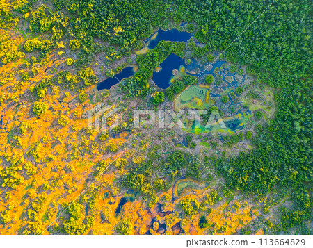 Wild forested and wet landscape of Prebuz moorland in Ore Mountains, Czech: Krusne hory, Czechia. Aerial view from drone. 113664829