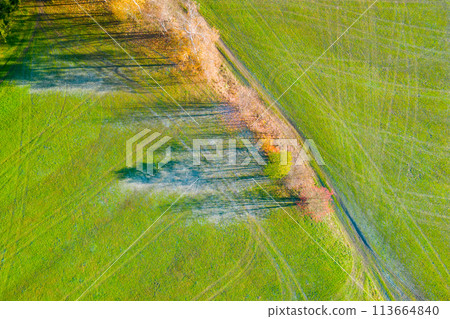 Overhead perspective of a lush green field dotted with trees under a clear sky. 113664840